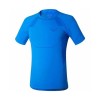 تیشرت Dynafit مدل Alpine Seamless M Short Sleeve