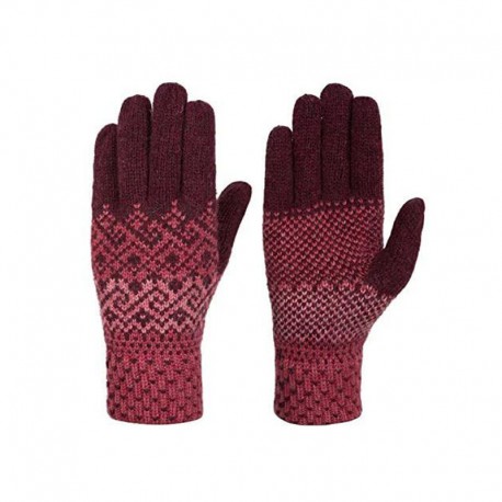 دستکش Salewa مدل Fanes WO Gloves