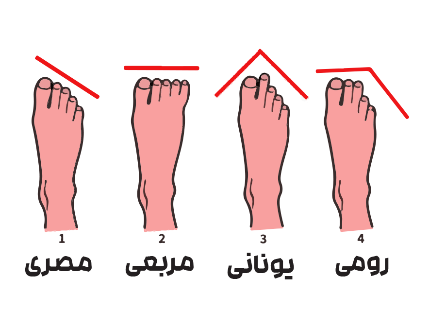 انواع فرم پا